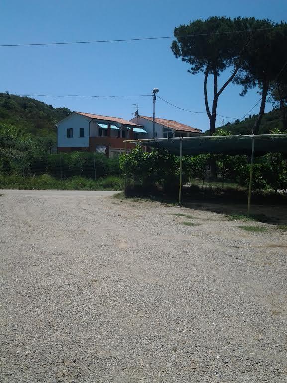 Hotel Rustichello Marina di Campo Exterior foto